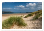 Camel Estuary