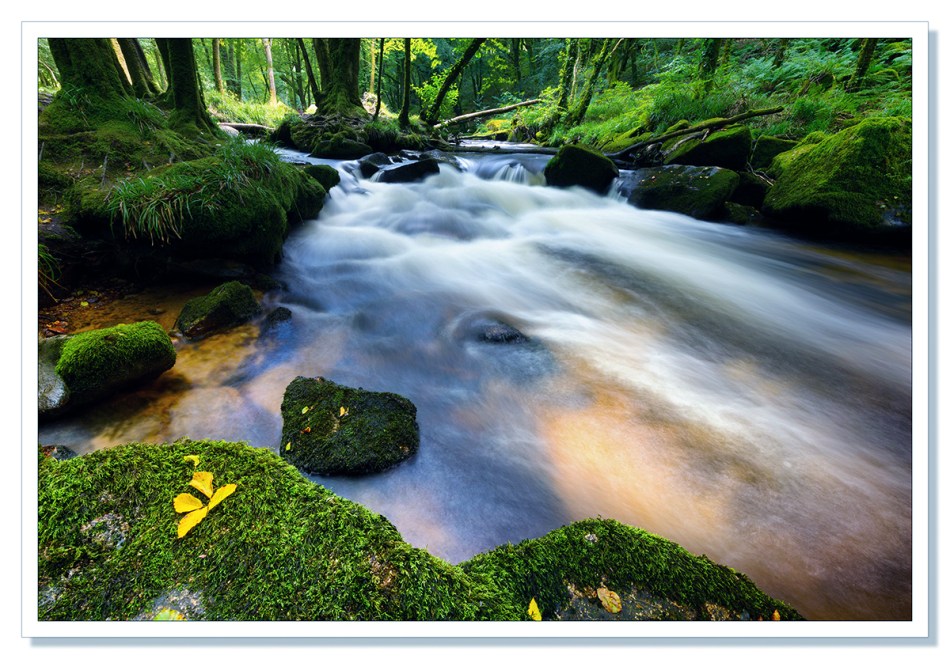 Golitha Falls and the River Fowey